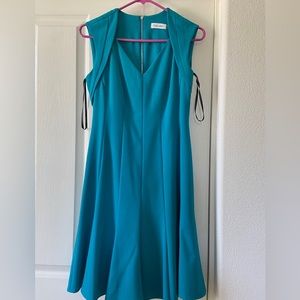 Size 6P dress